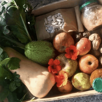 What is Permaculture Design? Another view