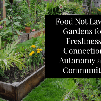 Food Not Lawns! How and Why to Turn Your Yard into a Garden