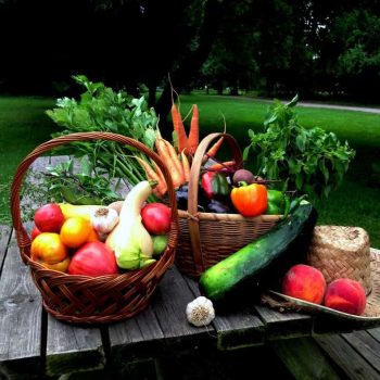 Eat With The Seasons: basics of food preservation
