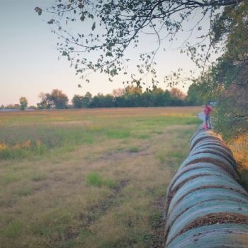 Send a Care Bear Stare: Progressives & Permaculture in the Rural Heartland