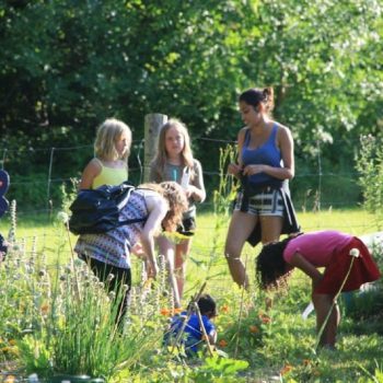 Strategies for urban land access