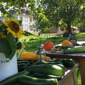 Permaculture: the outer and the inner landscape
