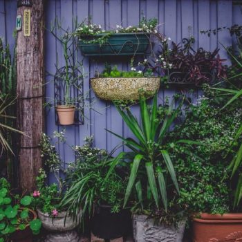 Gardening Diversity in Our Lives and Our Communities