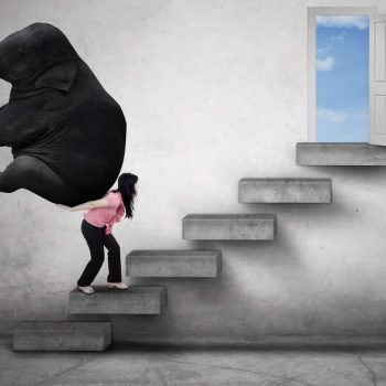 The Elephant at the Front Door: A Designers Approach to Shadow Work