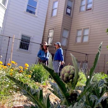 Permaculture For Renters