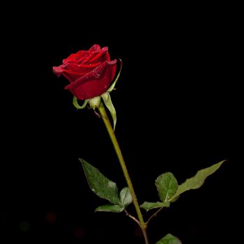 Why It Is So Hard To Love Ourselves