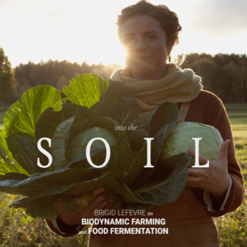 Opening a heartfelt dialogue with life - A film review of Into The Soil