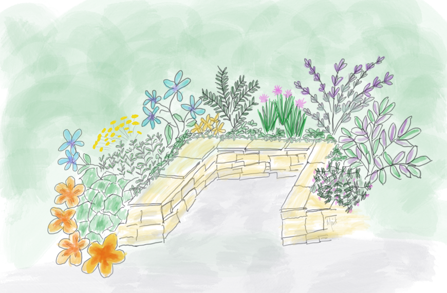 How to Make Your Garden More Accessible