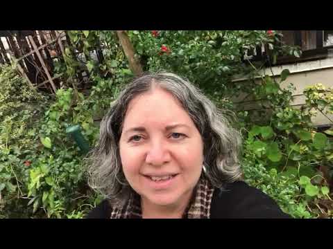 Permaculture teacher: Silvia Di Blasio
