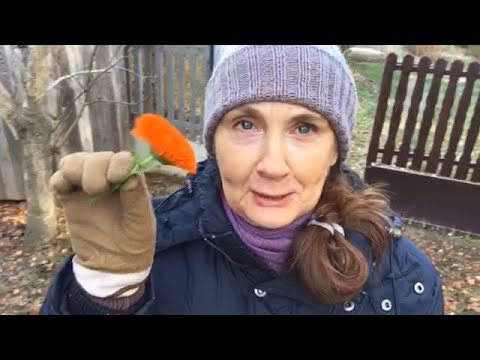 Permaculture Design Course Project - Kompostella 2021