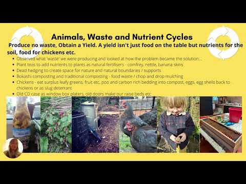 Wendy Nulty Permaculture Design Certificate Presentation