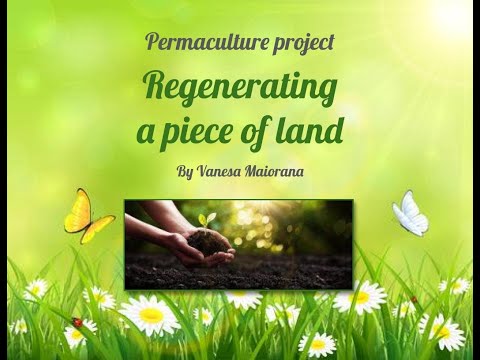 Permaculture project Vanesa Maiorana