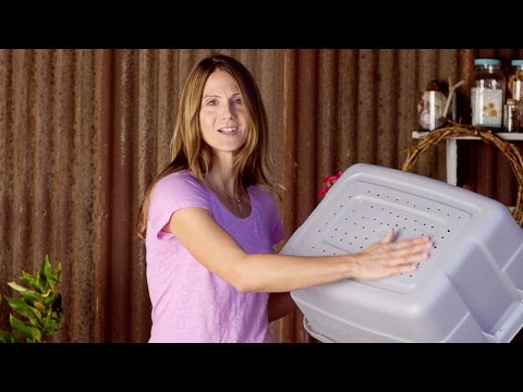 Worm Composting 101: How to Make &amp; Use a Simple Worm Bin w/ Emily Murphy