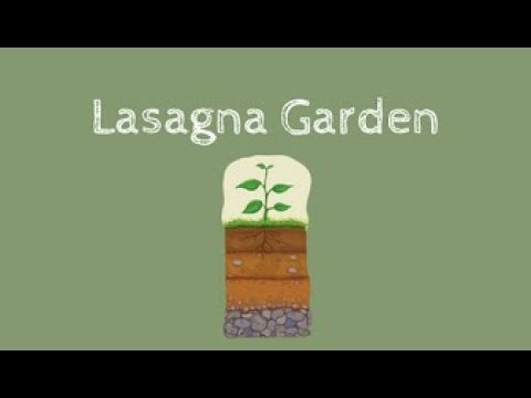 Lasagna Garden