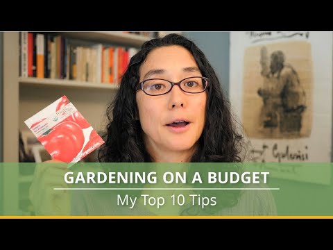 10 Tips for Gardening on a Budget