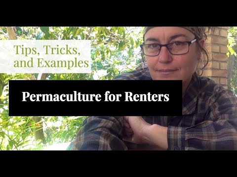 Permaculture for Renters: tips and tricks