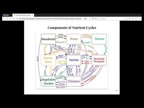 Permaculture Womens Guild PDC Final Project