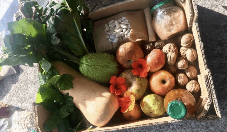 grow food not lawns compost Screenshot 2020 12 12 at 01.30.40