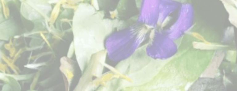 Screenshot 2021 02 09 at 22.43.03