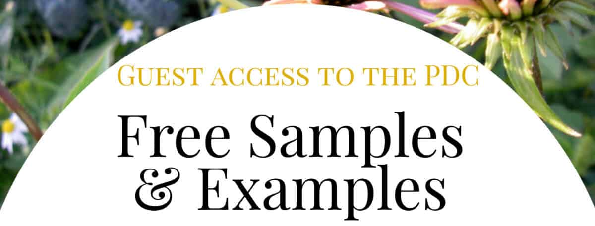 Women in permaculture course 1025762 samples orig