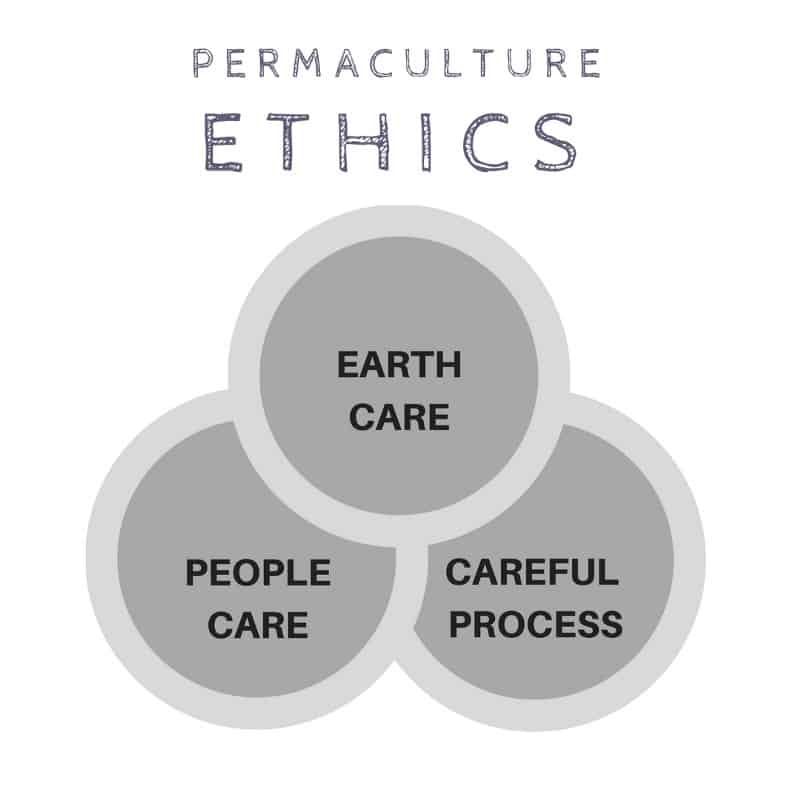 permaculture ethics beginners permaculture ethics