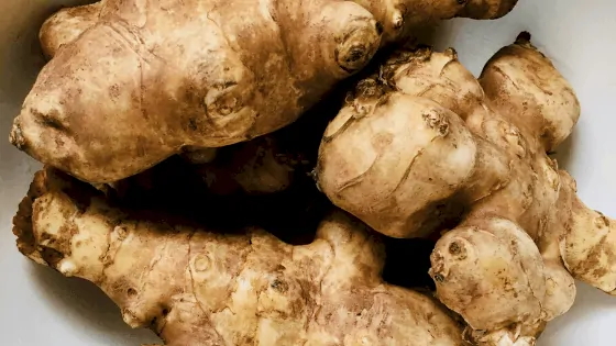 best edible perennials Climate Change image 11
