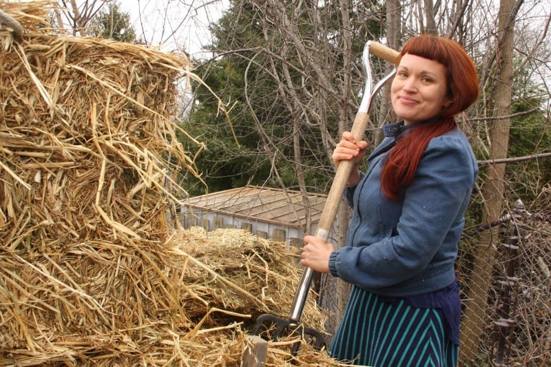 urban permaculture capitalism image 112