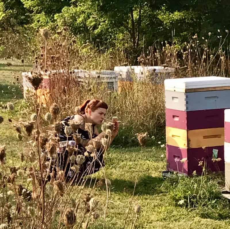 urban permaculture capitalism image 113