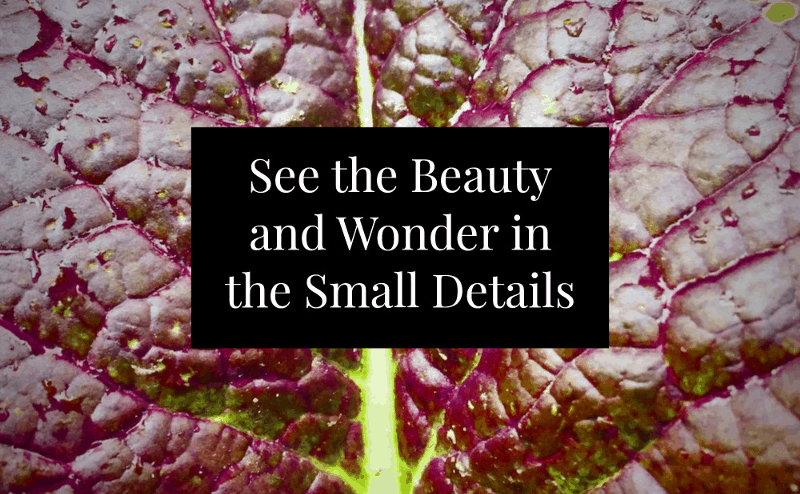 Universe of Wonders creativity image 143