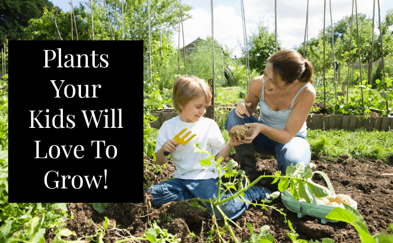 gardening with children children image 176