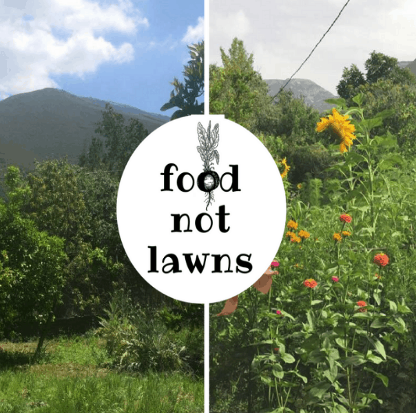 grow food not lawns art of hosting image 179
