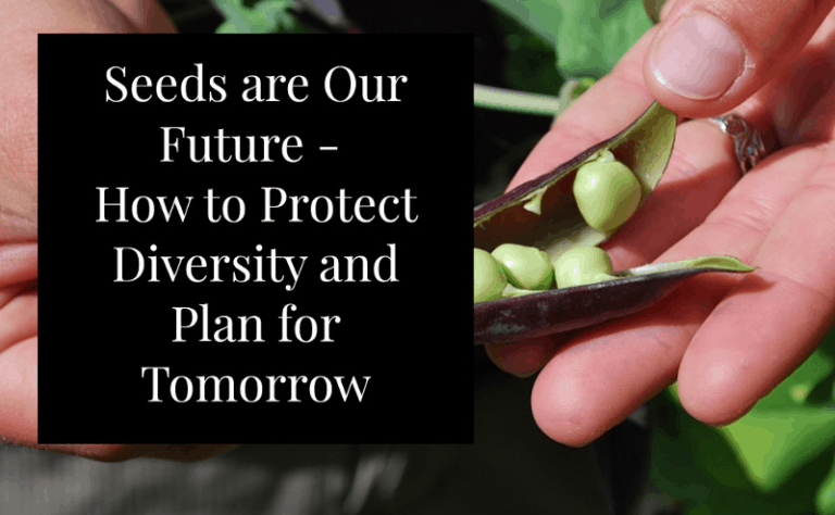 seed saving for beginners diversity image 183