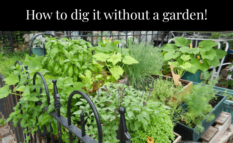 Why Everyone Should Try 'No Dig' Gardening