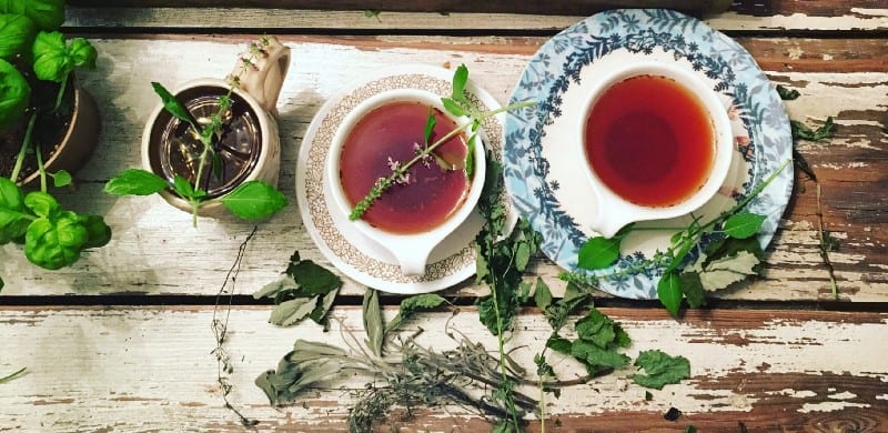 homemade herbal tea children image 193