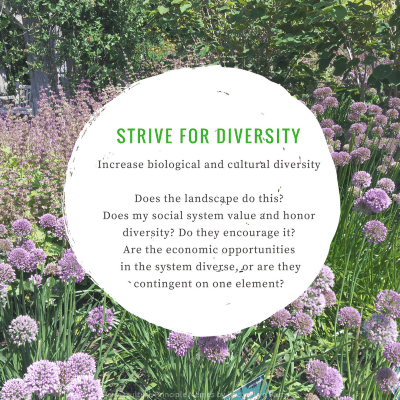 permaculture ethics beginners strive for diversity