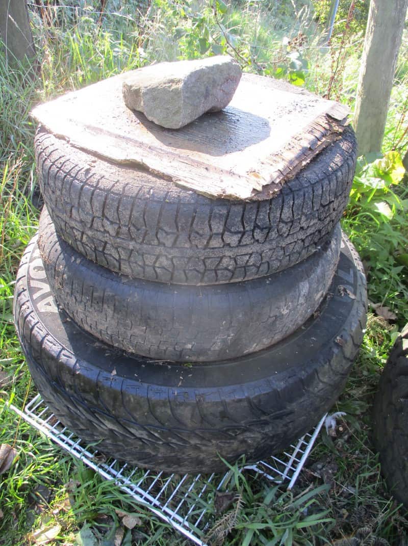 How to make a worm bin compost image 205