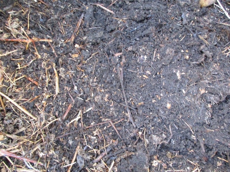 How to make a worm bin compost image 207