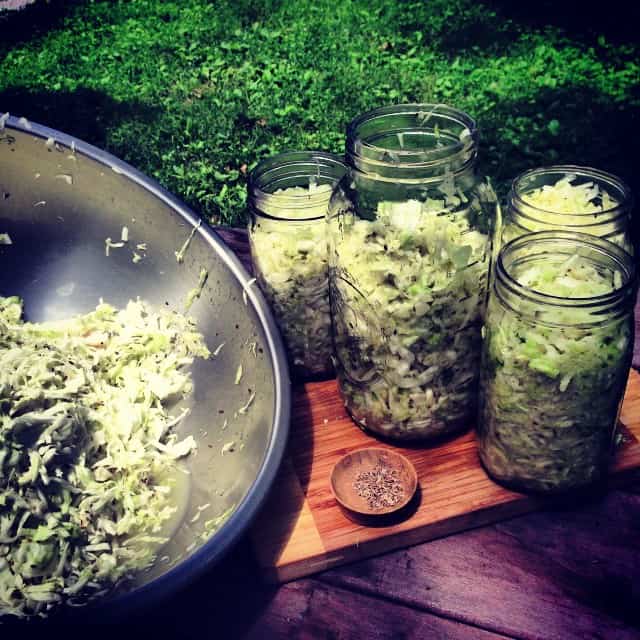 basics of fermentation cooking image 244