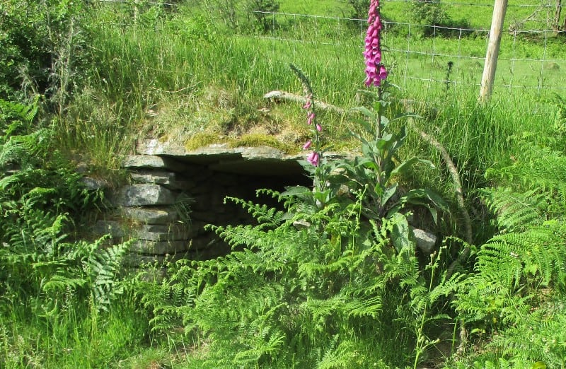 Dry Stone Walls decolonizing permaculture image 265