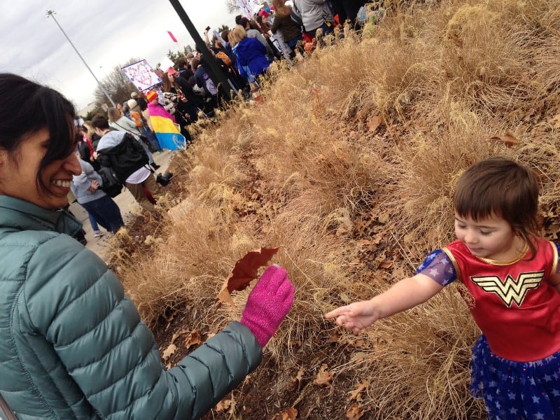 Permaculture in America cities image 28