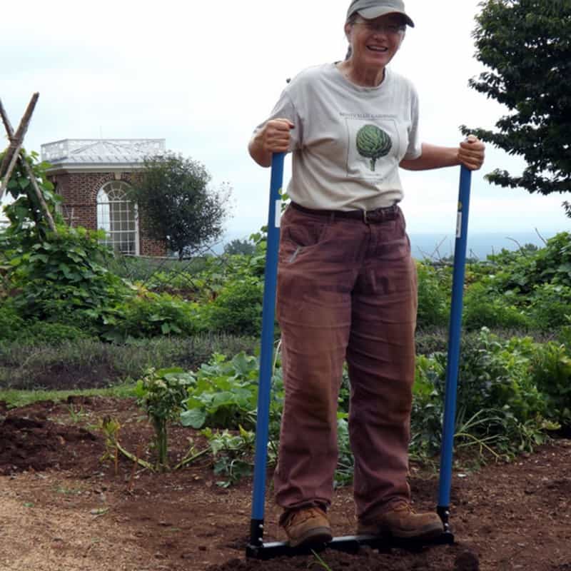 What is Lasagna Gardening compost image 309