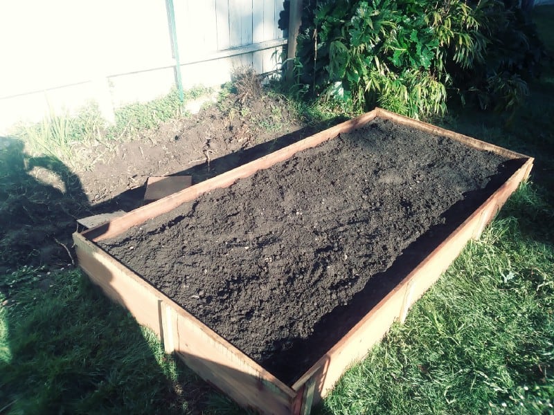What is Lasagna Gardening compost image 311