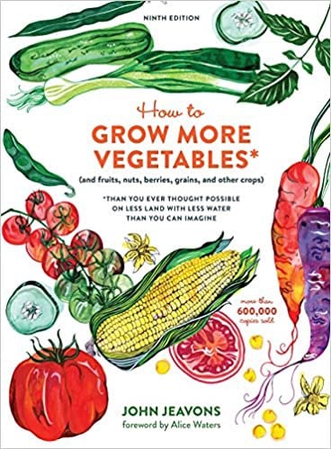 Growing vegetables from Seed gardening image 315
