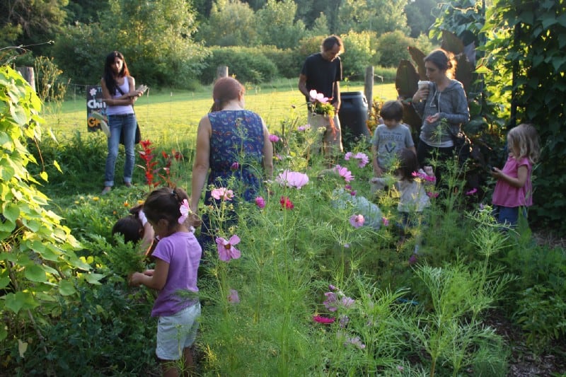 urban land access children image 320