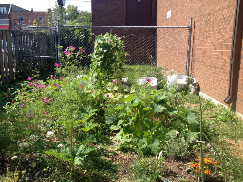 urban land access children image 323