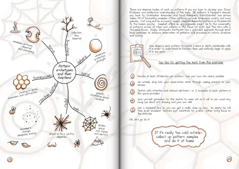 Permaculture Design Companion by Jasmine Dale Review book reviews image 343