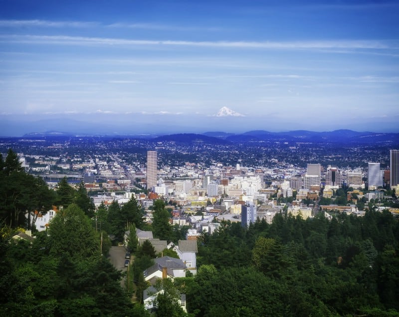 What is Rewilding cities image 355