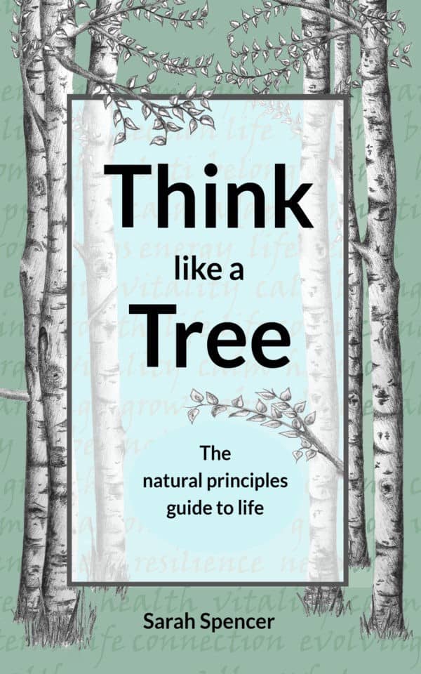 Think Like a Tree by Sarah Spencer book reviews image 375