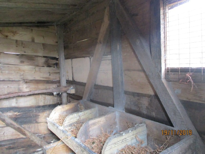 Chicken shed decolonizing permaculture image 403