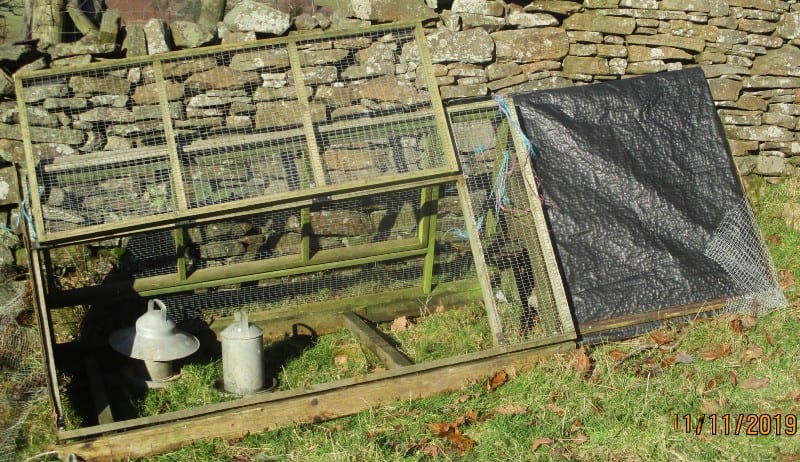 Chicken shed decolonizing permaculture image 407